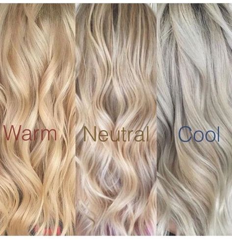 Blonde Hair Tones Chart Left to Right: Warm, Neutral, Cool Neutral Blonde Vs Golden Blonde, Balayage, Oyster Blonde Hair, Creamy Neutral Blonde Hair, Prettiest Blonde Hair Color, Ashy Blonde Vs Warm Blonde, Blonde Hair By Hair Pattern, Blonde Levels Chart, Light Neutral Blonde Hair