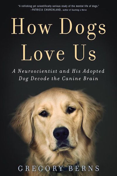 Adopted Dog, Brain Book, Amazon Publishing, Dog Brain, Dog Books, Love Us, Dogs Love, Human Emotions, Bern