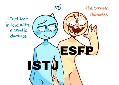 Esfp X Istj, Istj X Esfp, Esfp Istj, Mbti Istj, Istj Personality, 70k Followers, Enfp Personality, Mbti Types, Mbti Memes