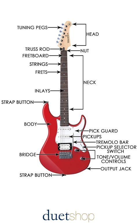 Electric Guitar Anatomy, Parts Of A Guitar, Different Types Of Guitars, How To Play The Electric Guitar, Electric Guitar Learning, Electric Guitar Types, How To Learn Electric Guitar, Electric Guitar Tips, Electric Guitar Notes