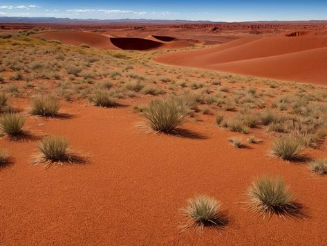 Discover Australia's Natural Beauty: Outback Desert Landscape Australia Outback, Inspiring Landscapes, Outback Australia, Desert Landscape, Desert Landscaping, Art Class, Awe Inspiring, Natural Beauty, New Zealand