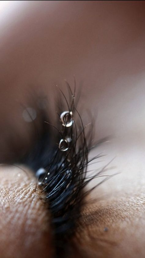 Rain drops on my eye lashes Drop Painting, Honey Drops, Eye Drop, Watery Eyes, Water Drip, Eye Drops, Eye Lashes, Water Droplets, Rain Drops