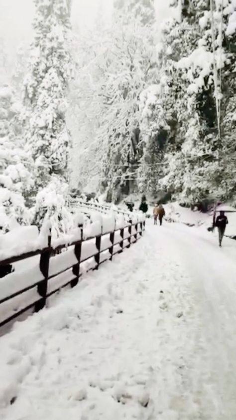 apurva_chauhan09 on Instagram: Waiting for this season’s snowfall ❄️♥️ . . . . . . . . #shimlahills #shimladiaries #featured #instagramreelsindia #himachalpradeshtourism… Harshita Core, Shimla, Himachal Pradesh, Tourism, Collage, On Instagram, Pins, Quick Saves, Instagram