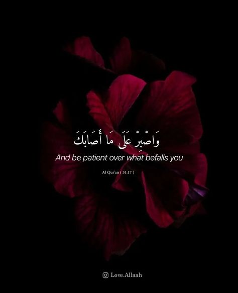 Arab Quotes, Islamic Verses, Dp For Whatsapp, Luck Quotes, Hadith Quotes, Good Luck Quotes, Cover Photo Quotes, Beautiful Quran Quotes, Beautiful Arabic Words