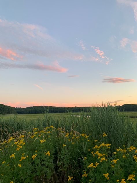 massachusetts summer sunset Massachusetts Summer Aesthetic, Rural Massachusetts, Massachusetts Summer, Massachusetts Aesthetic, Rockport Massachusetts, England Summer, Summer Sunset, Gloucester, 2024 Vision