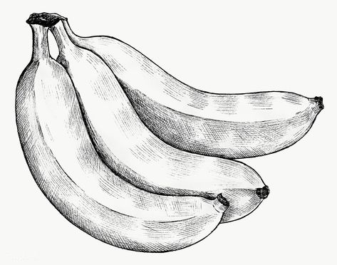 Banana Sketch Pencil, Banana Sketch, Drawing Step By Step Easy, Banana Drawing, Hatch Drawing, Drawing Food, Pencil Drawing Images, Shading Drawing, Fruits Drawing