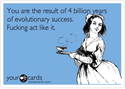 Yes please Someecards Sarcasm, Postcard Quotes, True Statements, Inspiring Nature, Eye Balls, Senior Humor, Snarky Humor, Bye Felicia, Anger Issues