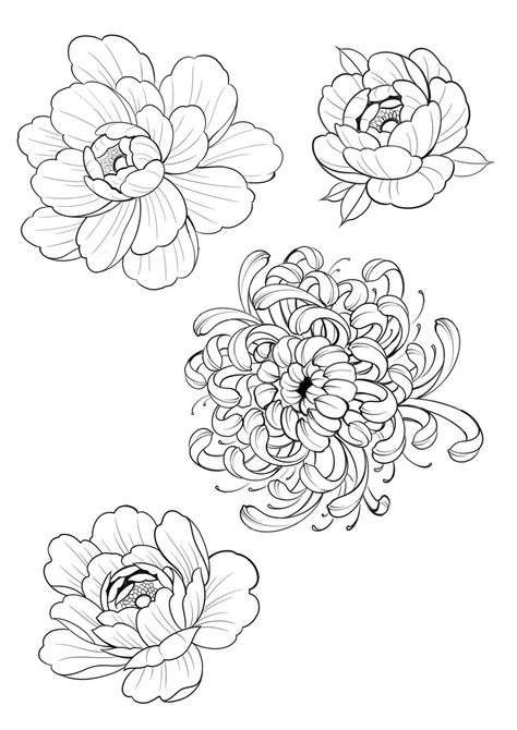 Flowers To Add To A Tattoo, Irezumi Flower Tattoo, Flash Art Flowers, Japan Flower Drawing, Hand Poke Flower Tattoo, Chrysanthemum Tattoo Outline, Flower Drawing Japanese, Peony Tattoo Design Drawing, Flower Tattoo Designs Sketches