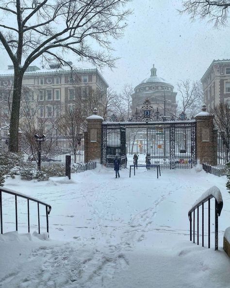 Barnard College’s Instagram post: “Some snowy snapshots of campus from yesterday ❄️ Comment below on your favorite! We like the ⛄️” Barnard Aesthetic, History Motivation, Columbia Uni, Academic Inspiration, December Moodboard, Elf Aesthetic, Campus Aesthetic, Barnard College, College Vision Board