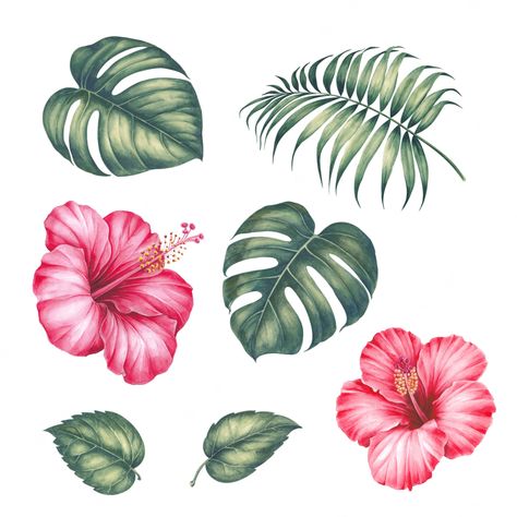 Premium Photo | Hibiscus flowers and palm tree leaves. Tropical Flower Tattoos, Hibiscus Drawing, Hibiscus Flower Drawing, Hibiscus Leaves, Floral Tree, Herz Tattoo, Frida Art, Palm Tree Leaves, Cat Air