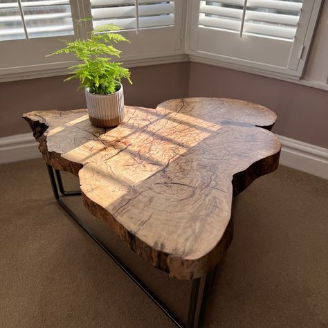 The ‘Wyld’ spalted beech tree trunk coffee tables are now sold out, along with the rest of our ‘Monkton’ series! But…A new spalted beech tree is sliced and tables are in progress on our workbench — ready to be commissioned. The new series will once again beautifully showcase the natural spalting and feature hand-forged metalwork and black resin accents. The tables really do capture the raw beauty of nature. Contact us to create a one-of-a-kind piece for your space. #furniturewithasoul #h... Trunk Coffee Tables, Tree Trunk Coffee Table, Tree Trunk Table, Spalted Beech, Trunk Table, Beech Tree, Black Resin, Raw Beauty, New Series