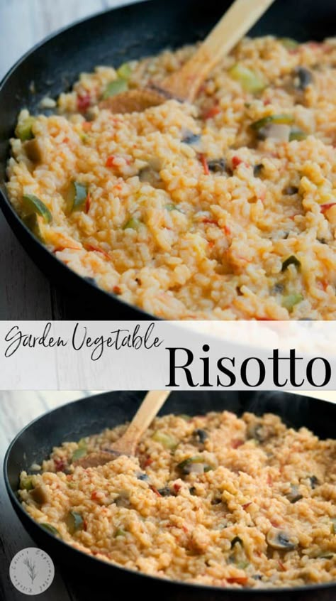 Mushroom Tomato Recipe, Vegetable Risotto Recipes, Italian Side Dish, Veggie Risotto, Vegetarian Risotto, Zucchini Mushrooms, Italian Side Dishes, Easy Risotto, Risotto Recipes Easy