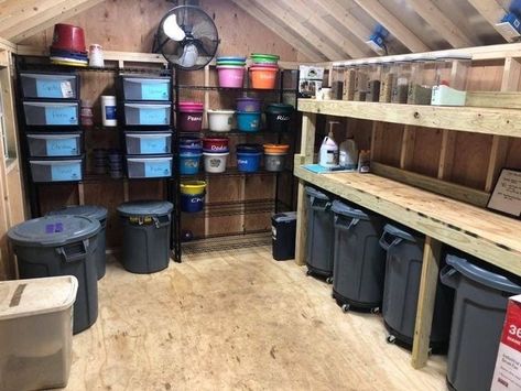 Feed Room Storage Ideas, Pallet Tack Room, Farm Storage Ideas, Horse Grain Room Ideas, Tack Shed Ideas Storage, Horse Food Storage Ideas, Tack Room Diy Ideas, Diy Feed Storage, Horse Supplement Organization