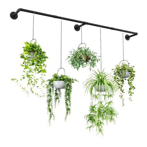 PRICES MAY VARY. 【Extension Plant Hangers】Extended design, 73" length can accommodate large windows or large indoor&outdoor walls to hang more plants. 【Durable Material and Robust Connection】Take sturdy metal material threaded joints for connection to ensure the sturdiness and durability. 【All Hardware Included】This metal plant hanger comes with all mounting hardware and detailed instructions . You can customize it for wall-mounted or ceiling.If you have any questions about the installation we a Window Hanging Herb Garden, Plant Over Window, Hanging Plants Window Curtain Rods, Plants Above Headboard, Plants On Curtain Rod, Wall Pots For Plants Indoor, Plant Wall Ideas Indoor Bohemian, Hang Plants On Wall, Plants Window Display