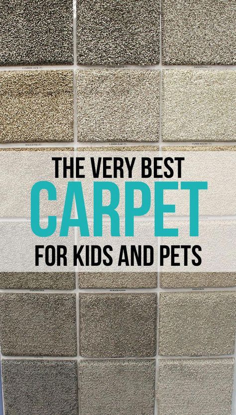 Home Décor, Carpets For Kids, Pets 3, Best Carpet, Animals For Kids, Bath Mat, Carpet, Home Decor