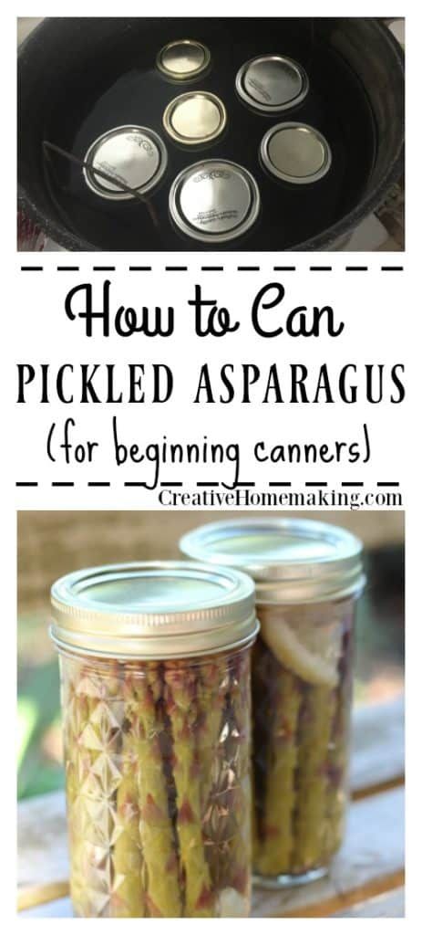 Canning Asparagus, Food Preparedness, Pickle Vodka, Pickled Asparagus, Canning Salt, Water Bath Canning, Home Canning, Asparagus Recipe, Shelf Storage