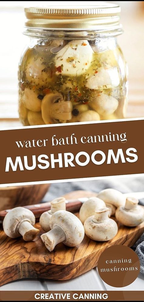 Master the art of water bath canning mushrooms, a versatile skill in canning mushrooms. Learn how to preserve zesty marinated mushrooms that are perfect straight from the jar or as an addition to charcuterie plates and salads. Made with white wine vinegar, olive oil, garlic, and herbs, these mushrooms are a delightful treat. Explore more water bath canning for beginners, canning food preservation, and canning vegetables recipes at creativecanning.com How To Pickle Mushrooms, Canning Mushrooms Hot Water Bath, Hot Water Canning Bath, Canning Marinated Mushrooms, Water Bath Recipes, Beginner Canning Recipes, Pickling Mushrooms, Mushroom Preservation, Canning Mushrooms