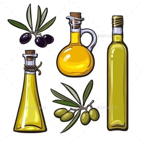 Olive Oil Illustration, Olive Oil Drawing, Healthy Illustration, Oil Illustration, Agriculture Background, Background S, Oil Sketch, Kindergarten Portfolio, Bottle Drawing