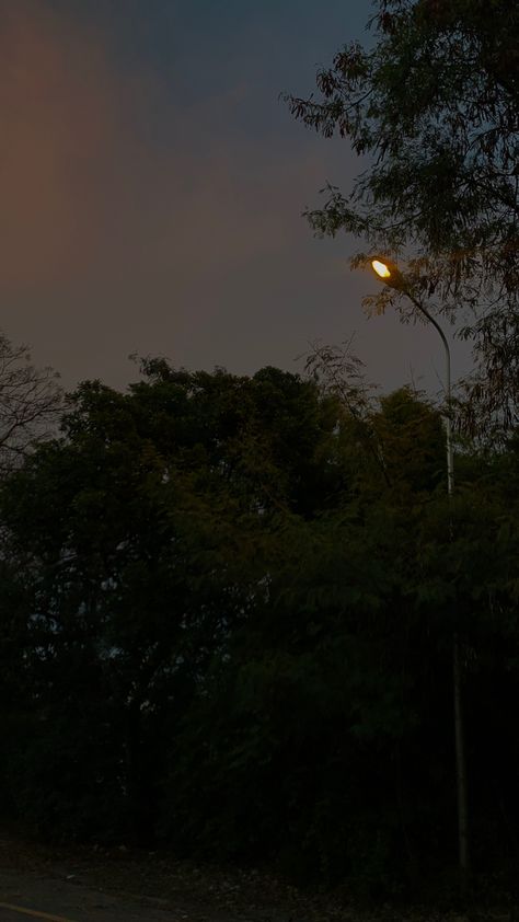 #evening #road #trees #lights #nature #night #sky Evening Night Sky, Night Tree Snap, Road Lights Night, Night Road Snap, Night Walking Aesthetic, Calm Place, Nature Photography Quotes, Chill Wallpaper, Trees Lights