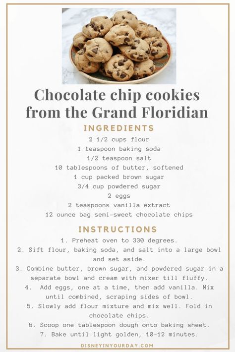 chocolate chip cookie recipe from the Grand Floridian - Disney in your Day Hotel Chocolate, Disney Cookies, Chocolate Chip Cookie Recipe, Grand Floridian, Chocolate Cookie Recipes, Chip Cookie Recipe, Semi Sweet Chocolate Chips, Chocolate Chip Cookie, Disney Food