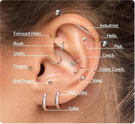 Ear Piercing Chart With Names, Names Of Ear Piercings Chart, Ear Piercing Ideas Chart Names, Earings Piercings Names, Types Of Ear Piercings Chart, Ear Piercing Names, Top Ear Piercing, Different Ear Piercings, Unique Ear Piercings