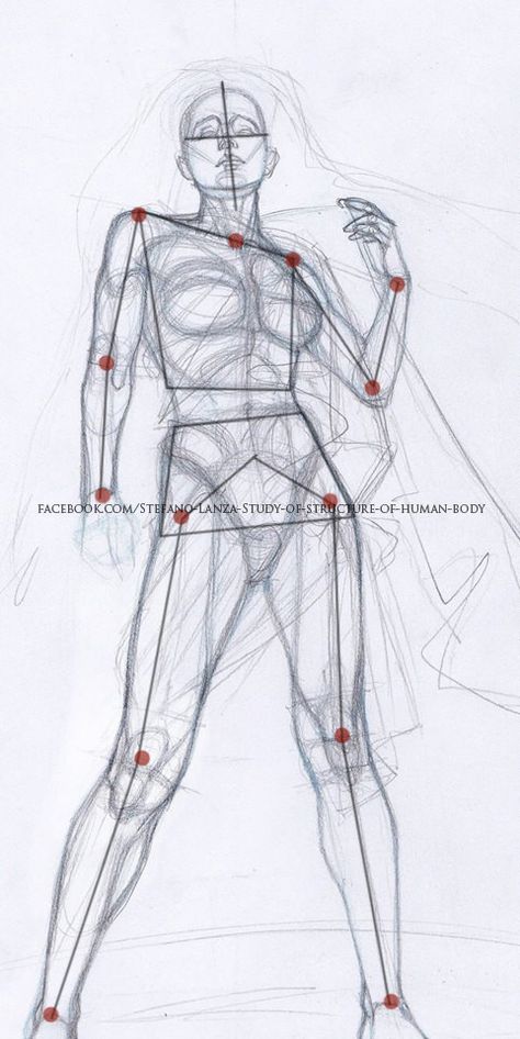 Art Anatomy, Drawing Hands, Sketches Art, Human Anatomy Drawing, Human Figure Drawing, Human Anatomy Art, Anatomy Sketches, Drawing Faces, Figure Sketching