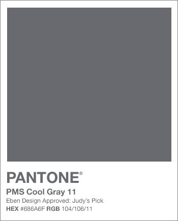 Color of the Season. Pantone Cool gray Pantone Book, White Washed Furniture, Painted Brick Walls, Pantone Swatches, Interior Paint Colors Schemes, Paint Color Schemes, Grey Color Palette, Black Inspiration, Fifty Shades Of Grey