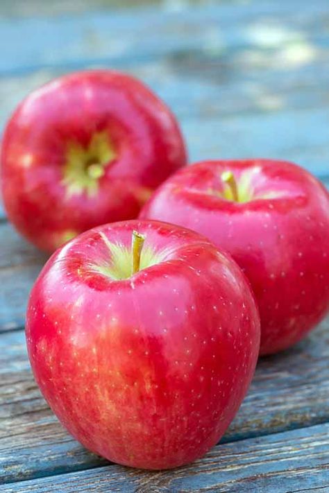 Honeycrisp Apple, Apple Sangria, Apple Picture, Apple Stock, Fruits Photos, Apple Varieties, Fruit Picture, Fruit Photography, Apple Fruit