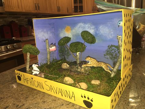 Diorama of  Cheetahs' Habitat. Kindergarten Science Projects, Habitat Project, Biomes Project, Diorama Kids, Diarama Ideas, Ecosystems Projects, Grassland Habitat, Habitats Projects, Animal Habitat