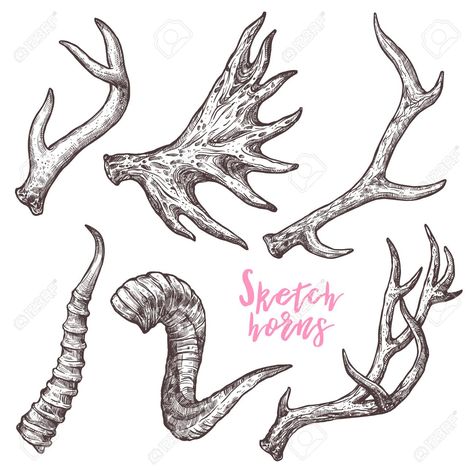 Bone Drawing, Deer Horns, Drawing Eye, Monster Drawing, Symbol Design, Flash Art, Eye Drawing, Design Reference, Creature Art