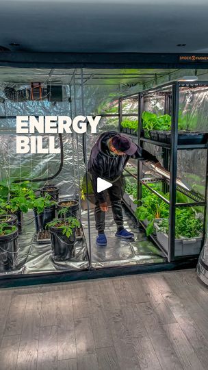 475K views · 5K reactions | How much does an indoor grow light cost on energy monthly?
#spiderfarmer #spiderfarmersf600 #spiderfarmerplantstand #LEDGrowLights #homegrown #hydroponics #DWC #learning #gardening #growfoodathome #sponsored | Plantedinthegarden | Plantedinthegarden · Original audio Indoor Hydroponic Gardening, Heirloom Garden, Indoor Grow Lights, Indoor Grow, Growing Fruit, Light Energy, Grow Light, Led Grow, Led Grow Lights