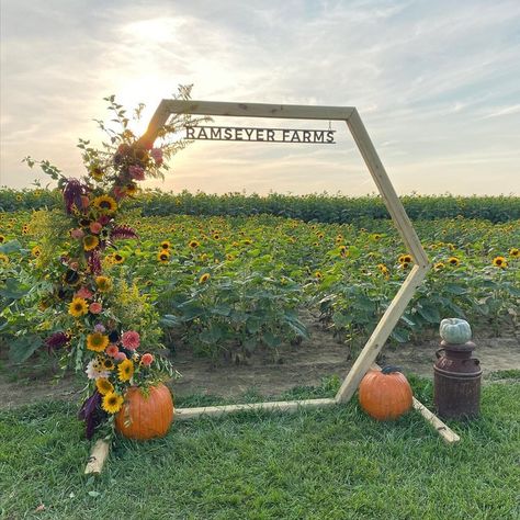 Corn Festival Decor, Sunflower Festival Ideas, Pumpkin Festival Decorations, Sunflower Patch Garden, Farm Events Ideas, Sunflower Tent, Fall Farm Stand, Pumpkin Patch Ideas Diy, U Pick Flower Farm Ideas