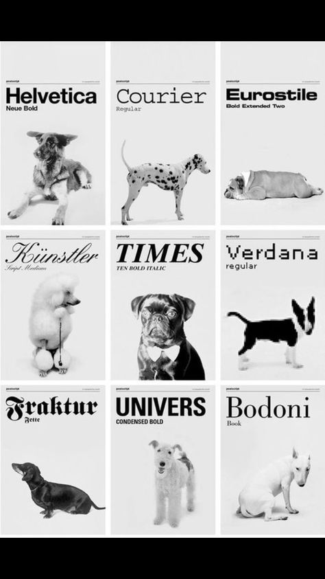 Dog Magazine, Typography Images, 강아지 그림, Dog Branding, Dog Search, Poster Design Inspiration, Comic Sans, Dog Photography, 로고 디자인