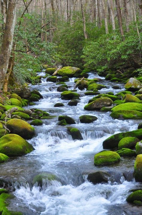 "Like a river flows, surely to the sea. Darling, so it goes. Somethings are meant to be." Elvis Presley Waterfall Scenery, On The Rocks, Beautiful Waterfalls, Jackson Hole, Beautiful Places In The World, Gatlinburg, Smoky Mountains, Most Beautiful Places, Amazing Nature