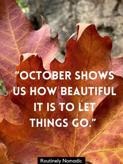 100 Short October Quotes for Instagram to Say Hello and Welcome to Fall - Routinely Shares First Of October Quotes, October 2nd Quotes, 1st October Quotes, October Month Quotes, October Quotes Inspirational, Welcome October Quotes, 1 October Quotes, October Sayings, Hello October Quotes