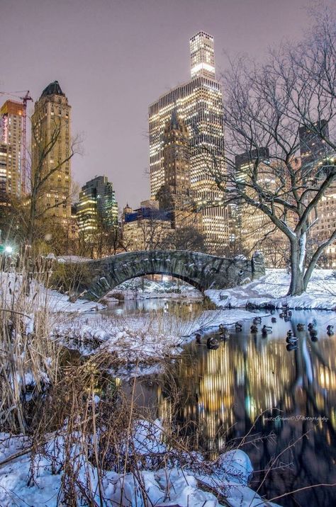 Gapstow Bridge Central Park New York City Christmas New York Wallpaper, Christmas New York, Central Park Winter, New York Noel, New York Christmas Aesthetic, Dark Video, Winter In New York, New York City Christmas, Winter Nyc