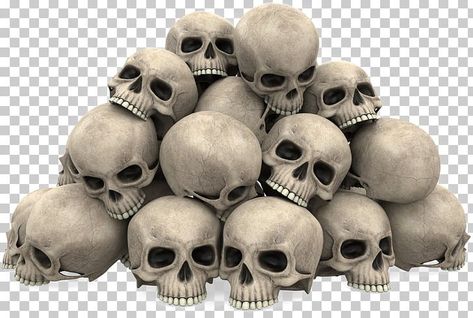 Skull Cartoon, Head Skull, Skeleton Head, Human Bones, Skeleton Bones, Human Skeleton, Cartoon Png, Cartoons Png, Easy Canvas Painting