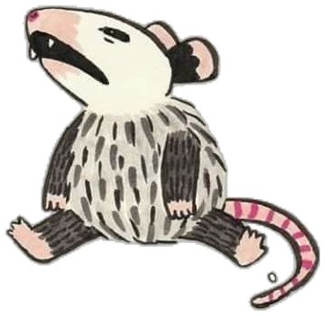 Cute Possum Drawings, Cartoon Possum, Possum Illustration, Opossum Drawing, Possum Drawing, Possum Tattoo, Possum Memes, Opossum Art, Sticker Design Inspiration