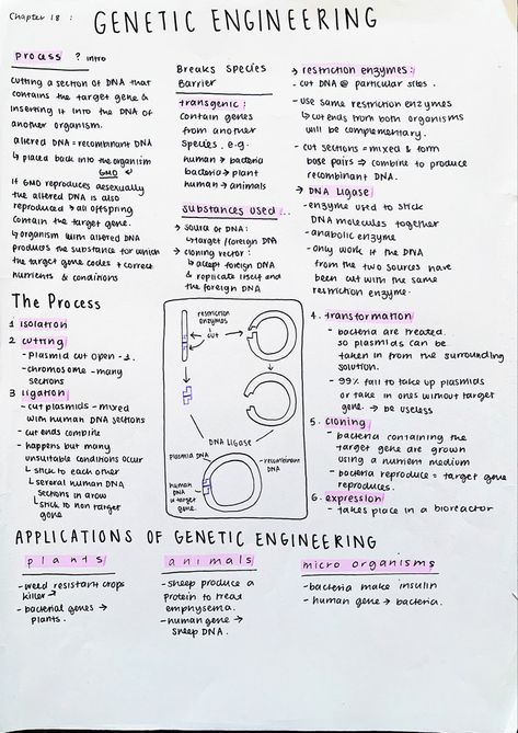 #neatnotes #neathandwriting #aestheticnotes #biologynotes #genetics #geneticengineering Genetics Aesthetic Notes, Biotechnology Notes Neet, Molecular Genetics Notes, Genetic Engineering Notes, Bsc Biotechnology Notes, Microbiology Quotes, Genetics Notes Biology, Bio Medical Engineering, Bioinformatics Aesthetics