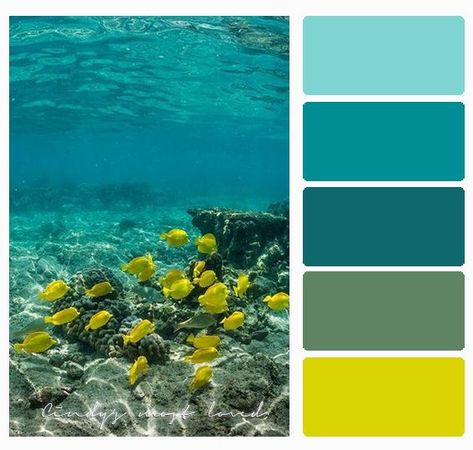 color Sea Green Color Palette, Sea Color Palette, Ocean Color Palette, Beach Color Palettes, Photography Underwater, Palettes Color, Color Coordination, Mixing Colors, Color Schemes Colour Palettes