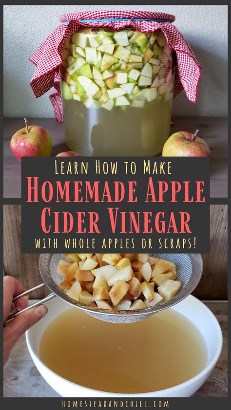 Come learn how easy it is to make your own apple cider vinegar at home, using whole apples - or apple scraps, like cores and skins! Raw fermented apple cider vinegar is healthy, cost-effective, and delicious! Apple Scraps, Preserving Apples, Homemade Apple Cider Vinegar, Making Apple Cider, Apple Cider Vinegar Recipes, Make Apple Cider Vinegar, Streusel Muffins, Homemade Apple Cider, Fermentation Recipes