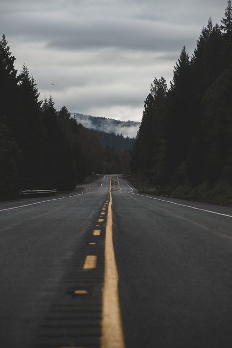 Wallpapers For Android Phone, Empty Road, Misty Forest, Forest Landscape, Packing Tips For Travel, Travel Alone, Photoshop Lightroom, Scenic Views, Android Phone