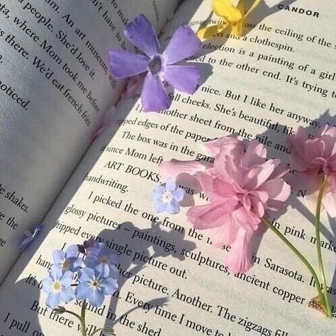 Fox Le Luxe on Instagram: “good morning and gentle reminder that your life is your story to write 🌸” Purple, Flowers, Pink, Blue