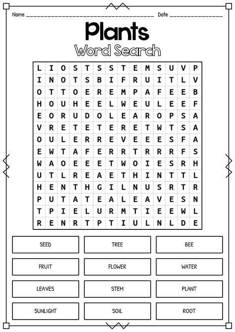 States Of Matter Worksheet 2nd Grade, Science Worksheets For 3rd Grade, Plant Word Search, First Grade Science Worksheets, Science Worksheets For Grade 1, 3rd Grade Science Worksheets, October Worksheets, Plant Worksheet, Science Word Search