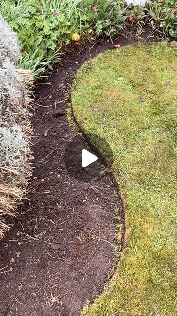 Alexander hayden on Instagram: "Transforming this neglected garden edge oh so satisfying #satisfying #transformation #amazing #handtools #satisfyingvideos #howto #edge #edging" Backdoor Garden Ideas, Garden Edging Design, Natural Edge Landscaping, Garden Edging On A Slope, Garden Border Edging Ideas, Edging Around House, Grass Edging Ideas, Flowerbed Edging Ideas, Backdoor Ideas