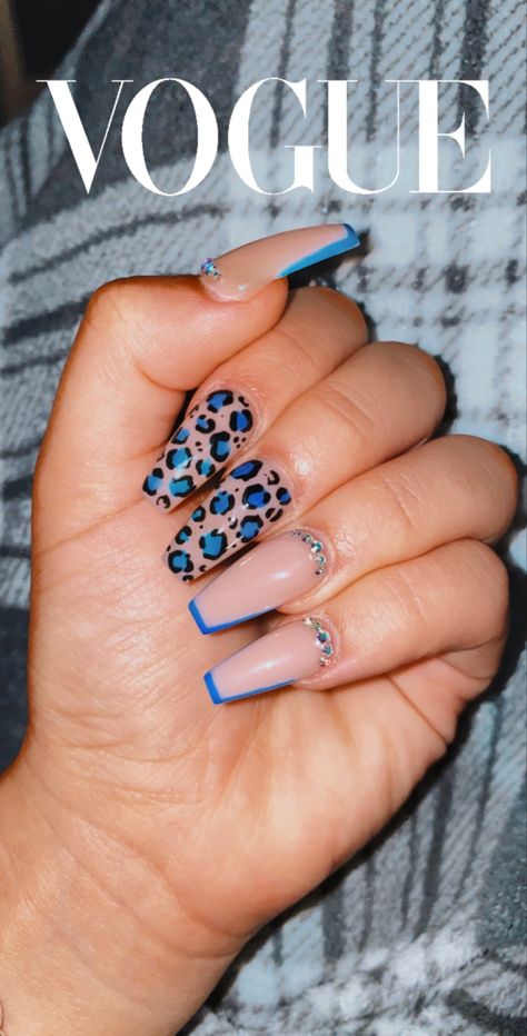 Dark Blue Cheetah Nails, Royal Blue Leopard Nails, Royal Blue Cheetah Nails, Blue Nails Leopard, Blue Leapord Nails, Cheetah Nails Summer, Blue Cheetah Print Nails, Blue Leopard Print Nails, Blue Cheetah Nails