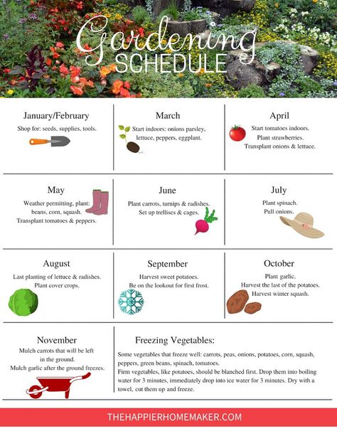 Free printable Garden Schedule to help you plan your gardening tasks throughout the year. #gardening Plan Your Garden Layout, Family Vegetable Garden, Zone 7 Garden Plan, Covered Patio Garden Ideas, First Garden Ideas, Small Garden Ideas Low Maintenance Backyard Designs, First Time Vegetable Garden, Recipes From Garden, Plant Spacing Guide Vegetable Garden