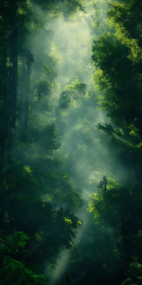 Foggy Landscape Photography, Forest Aesthetic Landscape, Aesthetic Iphone Wallpaper Green, Nature Concept Art, Lock Screen Wallpaper Disney, Green Forest Wallpaper, Forest Green Wallpaper, Ground Wallpaper, Paintings Cute