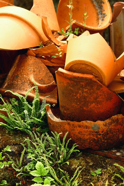 Teracotta Pots, Broken Pot Garden, Rustic Trellis, Orange Pottery, Terra Cotta Pots Garden, Clay Pot Projects, Planter Garden, Terra Cotta Pot Crafts, Pottery Pots