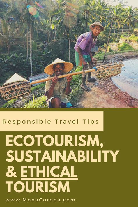 Responsible Tourism Tips for being a more responsible traveler. Ecotourism, sustainability, ethical tourism, & socially responsible travel tips. Travel guide for green travel, ecotourismo, ecolodge, green hotels, local culture, voluntourism, eco-friendly travel, ecofriendly hotel, sustainable hotels, eco resort, carbon offset programs & reducing carbon footprint. Best benefits of responsible travel. Bali, Costa Rica, Tulum, Thailand, Mexico, Indonesia, Vietnam, USA, #ecotourism #travel #tips #ad Ig Stickers, Eco Tourism, Travel Bali, Ethical Travel, Eco Resort, Responsible Tourism, Eco Travel, Green Travel, Sustainable Tourism